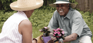 Gardening Helps Older Adults Feel Happier and Healthier 