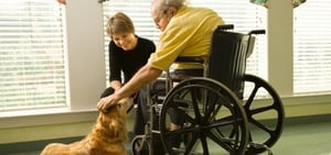 what is home care 